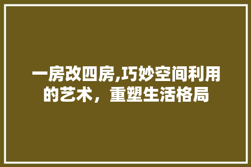 一房改四房,巧妙空间利用的艺术，重塑生活格局