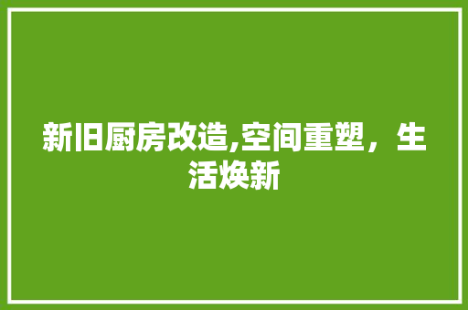 新旧厨房改造,空间重塑，生活焕新