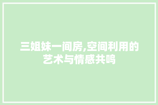 三姐妹一间房,空间利用的艺术与情感共鸣