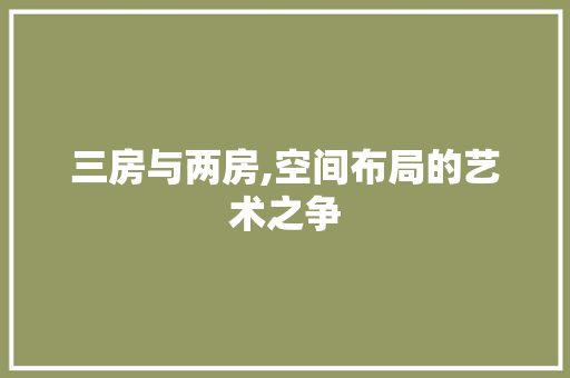 三房与两房,空间布局的艺术之争
