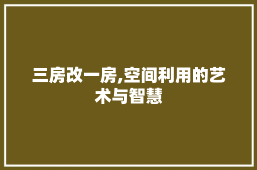 三房改一房,空间利用的艺术与智慧