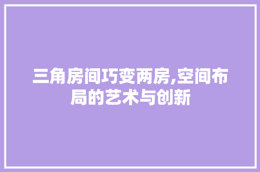 三角房间巧变两房,空间布局的艺术与创新