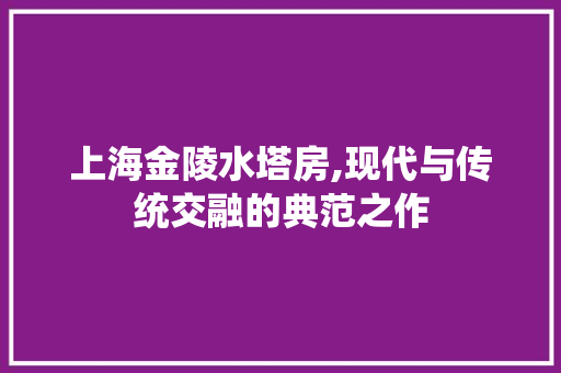 上海金陵水塔房,现代与传统交融的典范之作