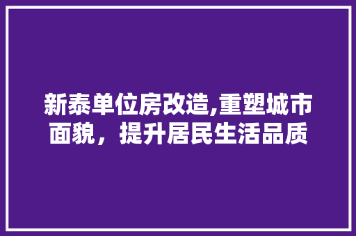 新泰单位房改造,重塑城市面貌，提升居民生活品质