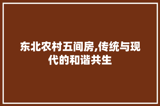 东北农村五间房,传统与现代的和谐共生