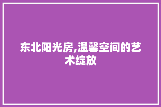东北阳光房,温馨空间的艺术绽放
