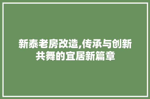 新泰老房改造,传承与创新共舞的宜居新篇章