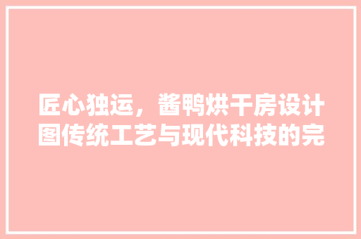匠心独运，酱鸭烘干房设计图传统工艺与现代科技的完美融合