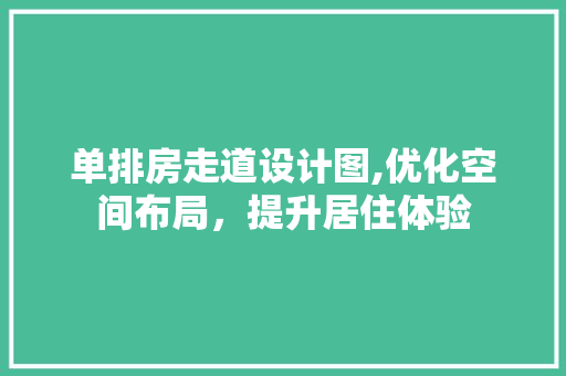 单排房走道设计图,优化空间布局，提升居住体验