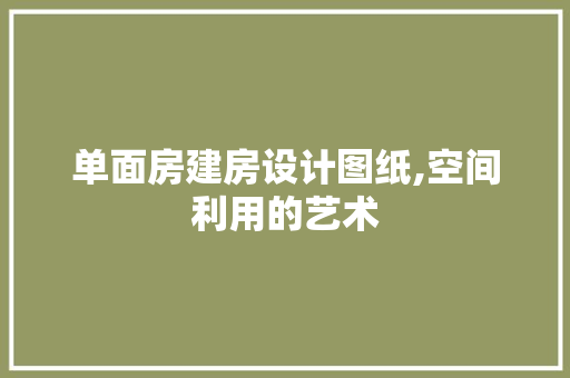 单面房建房设计图纸,空间利用的艺术