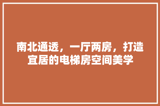 南北通透，一厅两房，打造宜居的电梯房空间美学