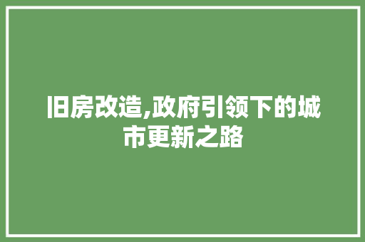 旧房改造,政府引领下的城市更新之路