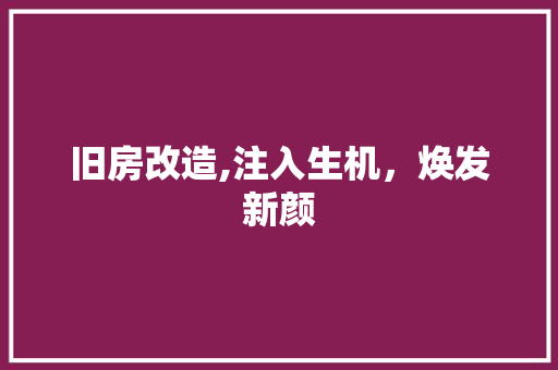 旧房改造,注入生机，焕发新颜