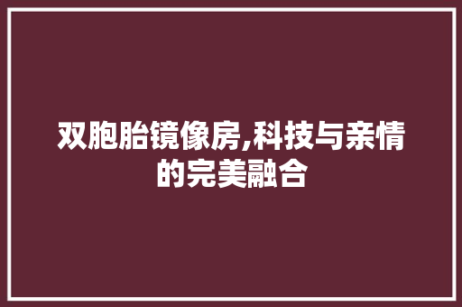 双胞胎镜像房,科技与亲情的完美融合