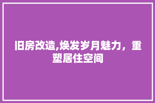 旧房改造,焕发岁月魅力，重塑居住空间