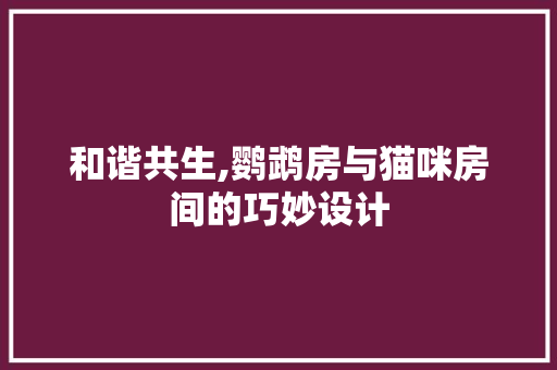 和谐共生,鹦鹉房与猫咪房间的巧妙设计