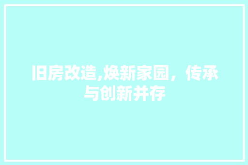 旧房改造,焕新家园，传承与创新并存