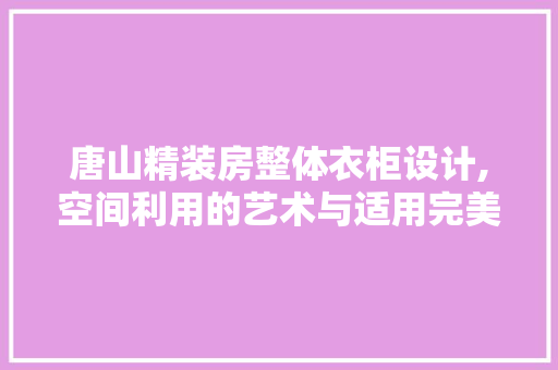唐山精装房整体衣柜设计,空间利用的艺术与适用完美结合