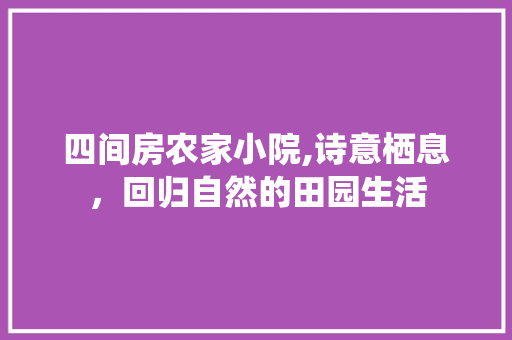 四间房农家小院,诗意栖息，回归自然的田园生活
