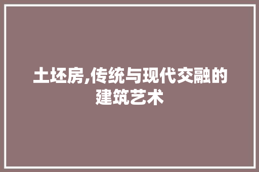 土坯房,传统与现代交融的建筑艺术
