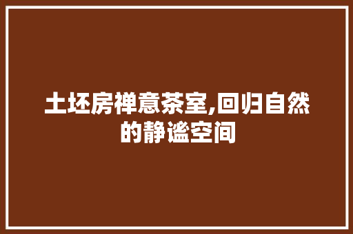 土坯房禅意茶室,回归自然的静谧空间