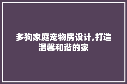 多狗家庭宠物房设计,打造温馨和谐的家