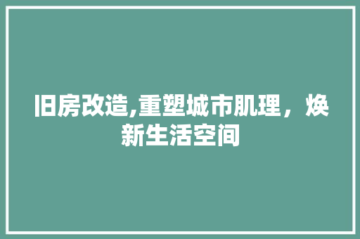 旧房改造,重塑城市肌理，焕新生活空间