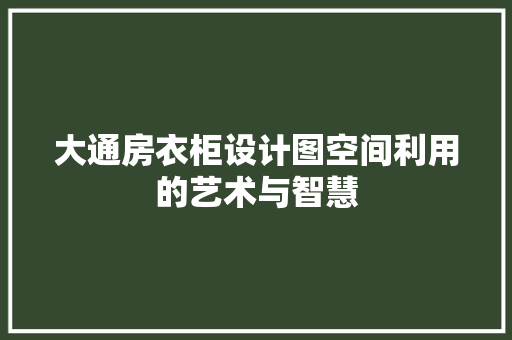 大通房衣柜设计图空间利用的艺术与智慧