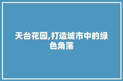 天台花园,打造城市中的绿色角落