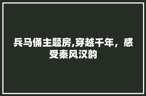 兵马俑主题房,穿越千年，感受秦风汉韵