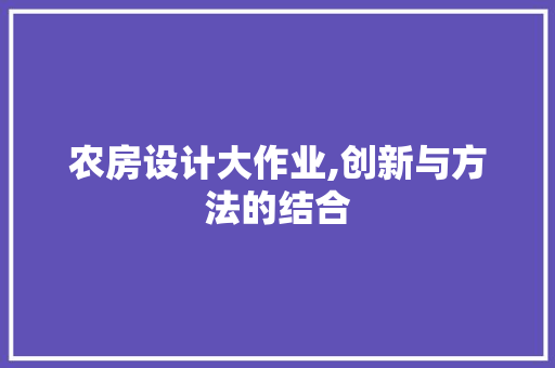 农房设计大作业,创新与方法的结合