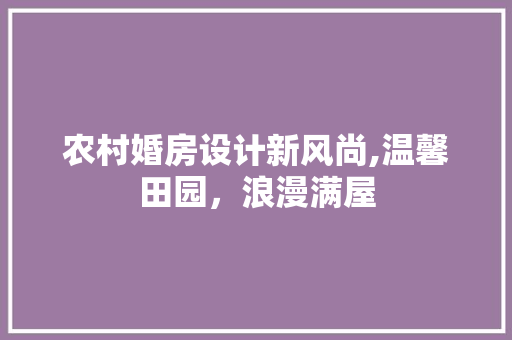 农村婚房设计新风尚,温馨田园，浪漫满屋