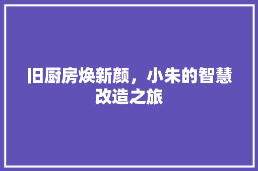 旧厨房焕新颜，小朱的智慧改造之旅
