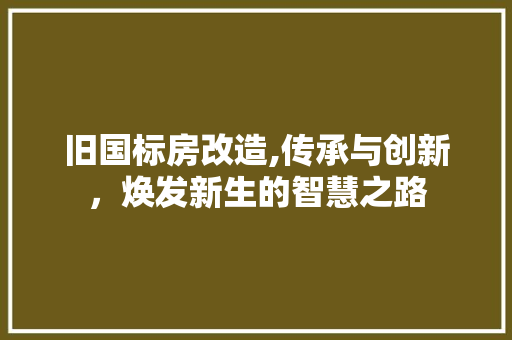 旧国标房改造,传承与创新，焕发新生的智慧之路