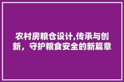 农村房粮仓设计,传承与创新，守护粮食安全的新篇章