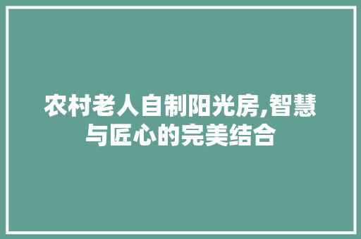 农村老人自制阳光房,智慧与匠心的完美结合