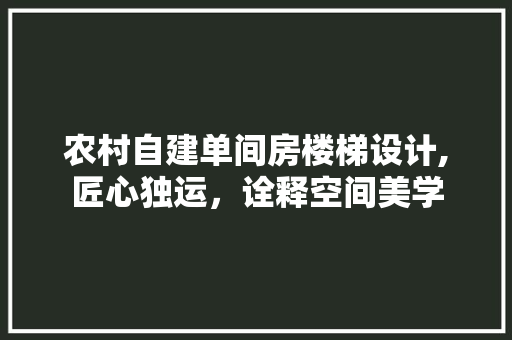 农村自建单间房楼梯设计,匠心独运，诠释空间美学