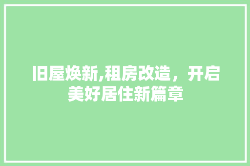 旧屋焕新,租房改造，开启美好居住新篇章