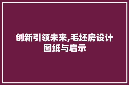 创新引领未来,毛坯房设计图纸与启示
