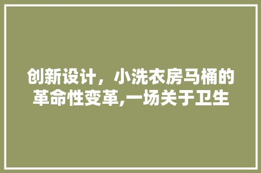 创新设计，小洗衣房马桶的革命性变革,一场关于卫生与环保的探索之旅