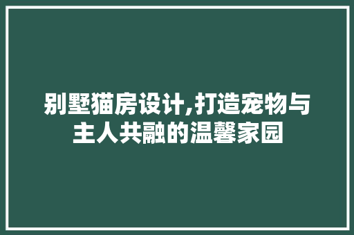 别墅猫房设计,打造宠物与主人共融的温馨家园