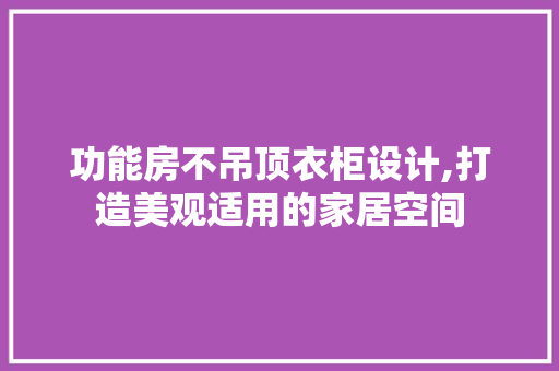 功能房不吊顶衣柜设计,打造美观适用的家居空间