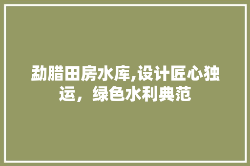 勐腊田房水库,设计匠心独运，绿色水利典范