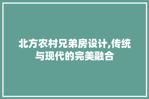 北方农村兄弟房设计,传统与现代的完美融合
