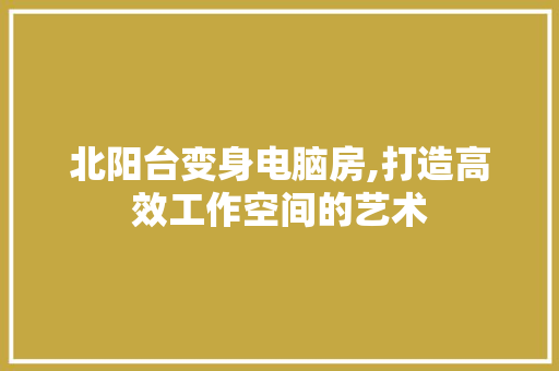 北阳台变身电脑房,打造高效工作空间的艺术