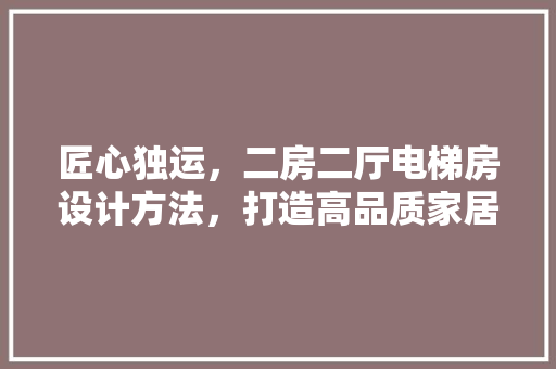 匠心独运，二房二厅电梯房设计方法，打造高品质家居生活