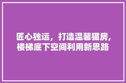 匠心独运，打造温馨猫房,楼梯底下空间利用新思路