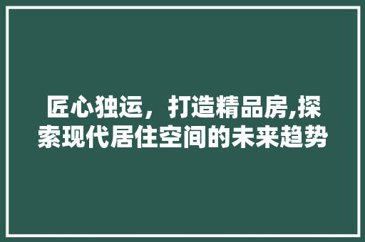 匠心独运，打造精品房,探索现代居住空间的未来趋势