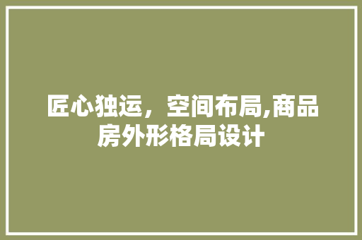 匠心独运，空间布局,商品房外形格局设计