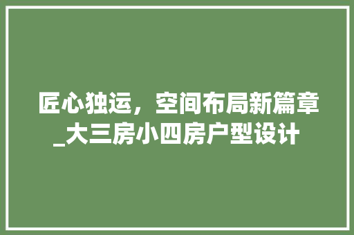 匠心独运，空间布局新篇章_大三房小四房户型设计